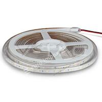 LED TRAKA 12W/m 12V HLADNO BELA 6000K IP65 VODOOTPORNA 