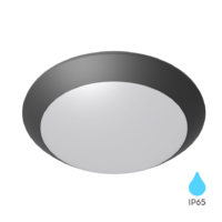 VODONEPROPUSNA SVETILJKA 1xE27 IP65 SIVA plafonska ili zidna NAPOLI BG37-00712 Braytron