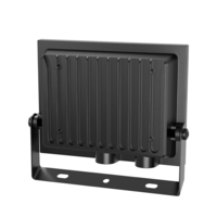 LED REFLEKTOR 30W 6500K IP65 CRNI BT66-03031 Braytron